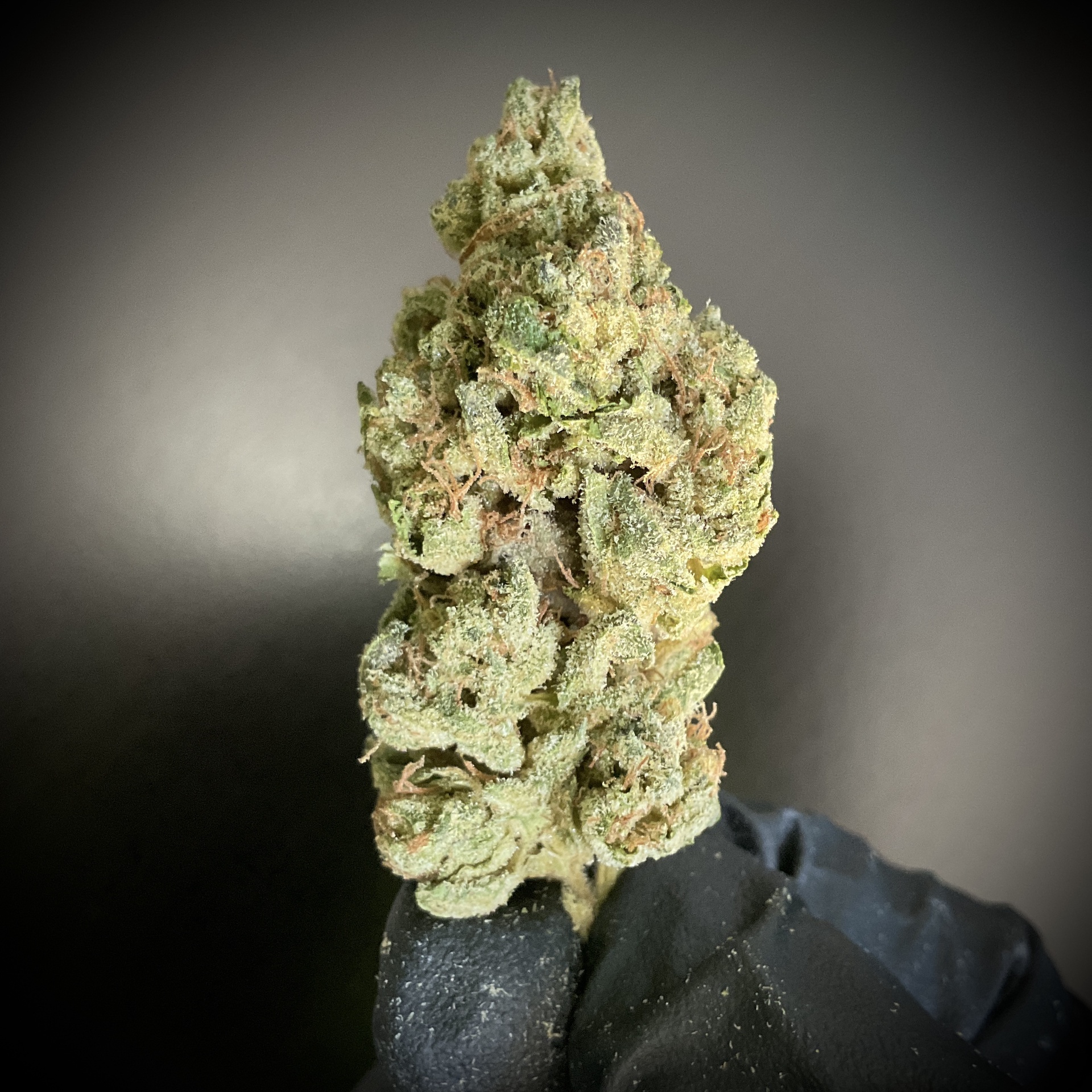 Wedding Cake THCA / Preroll